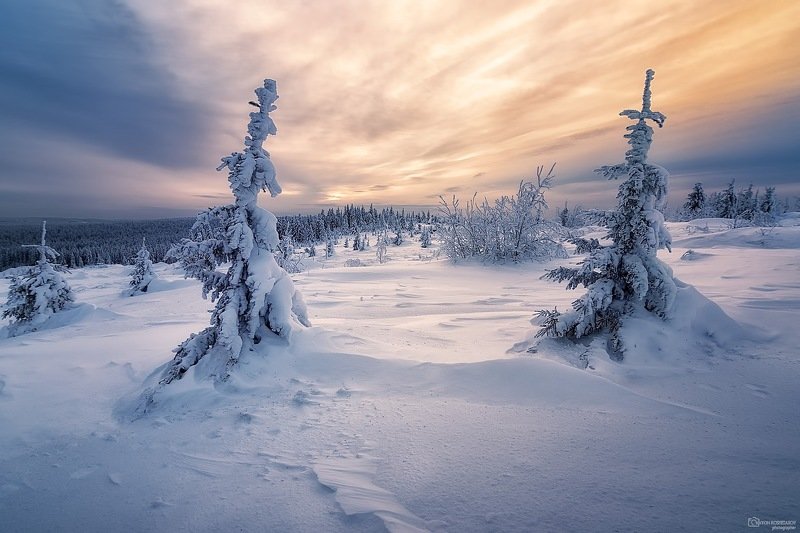 Рассветная акварель-3photo preview