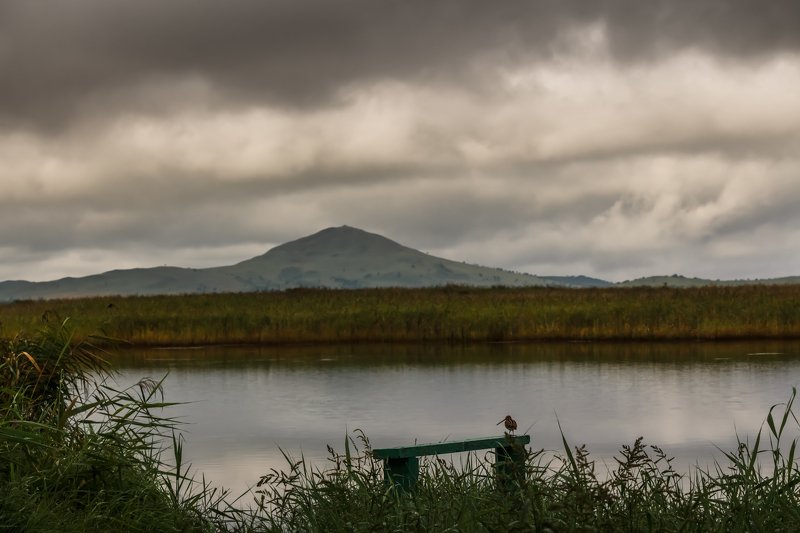 Приморский край, пейзаж, природа Размышления..photo preview