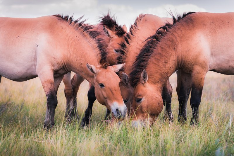 А чё это вы тут делаете, а?!photo preview