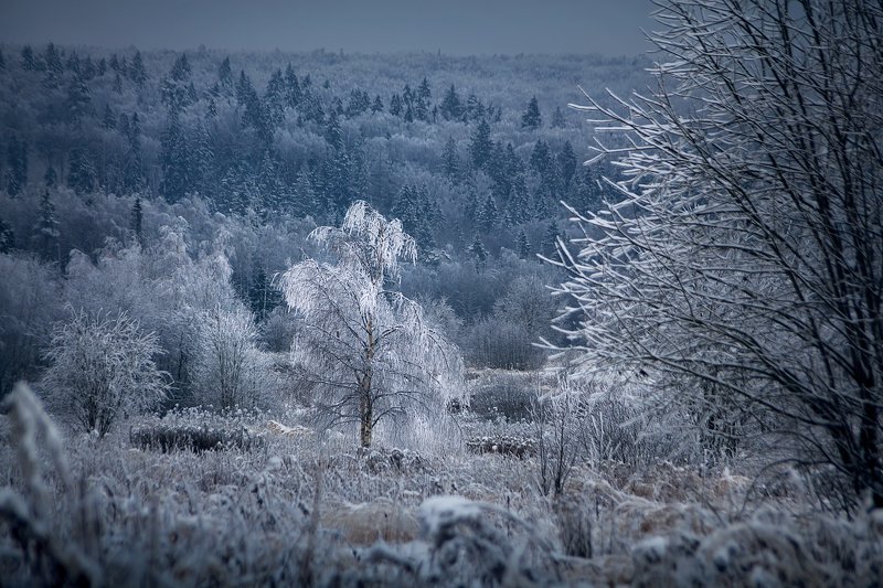 пейзаж, зима, снег Затеряться в снегахphoto preview