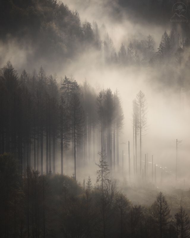 Туманы земли германскойphoto preview