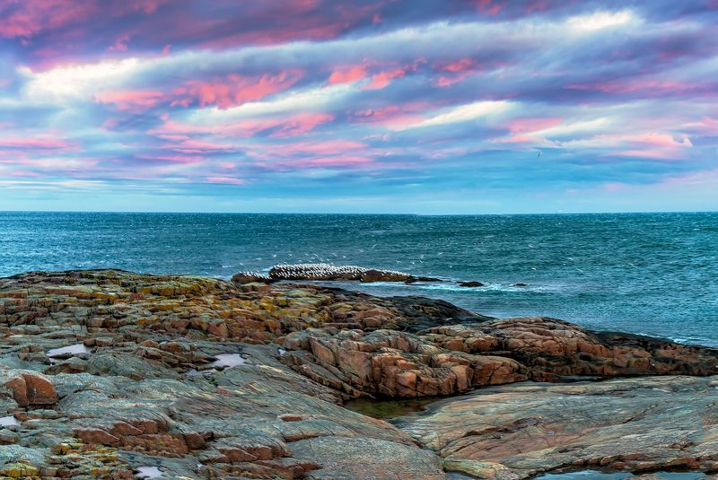 териберка, баренцево море, мурманская область На берегу Баренцева моря. Ноябрь 2020 г.photo preview