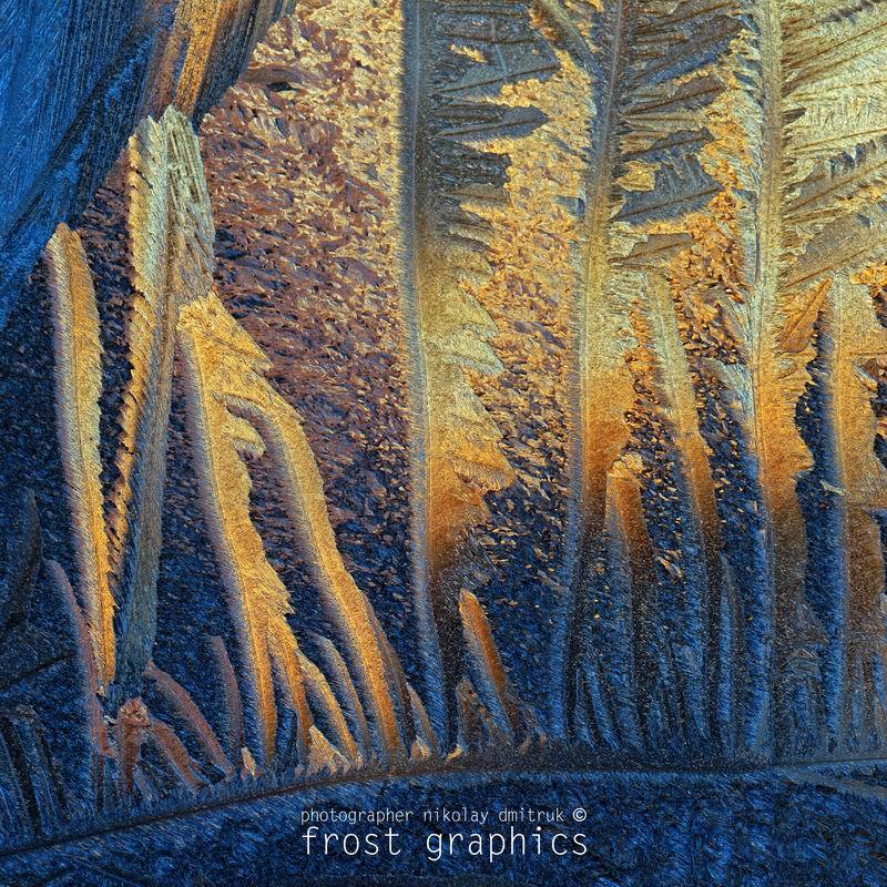макро, мороз, дмитрук fg 3. 214 лёдсафариphoto preview