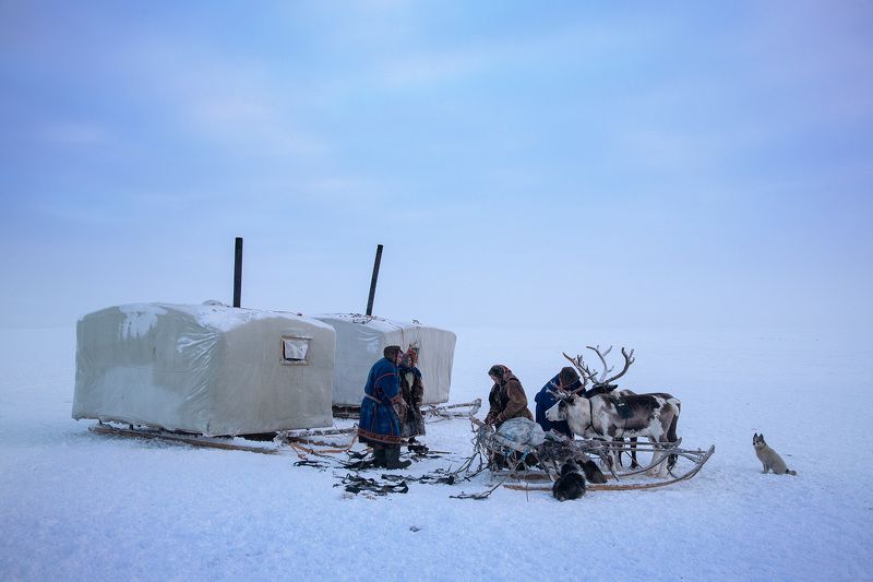 Тазовская тундаphoto preview