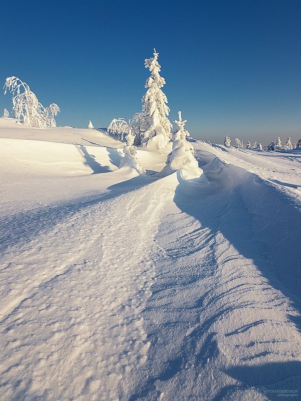 ракетыphoto preview