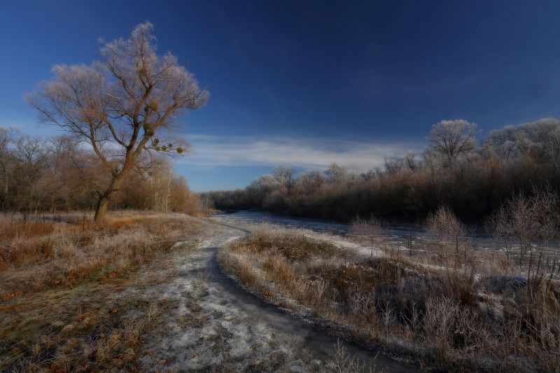 зима, мороз, иней, река, декабрь photo preview