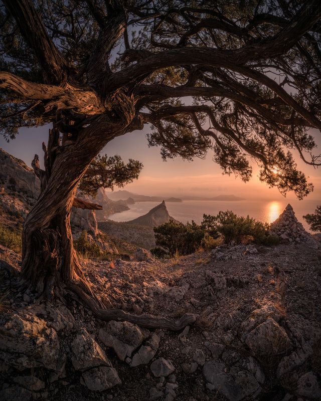 крым, новый свет, осень, рассвет, crimea, autumn, dawn Новый Светphoto preview