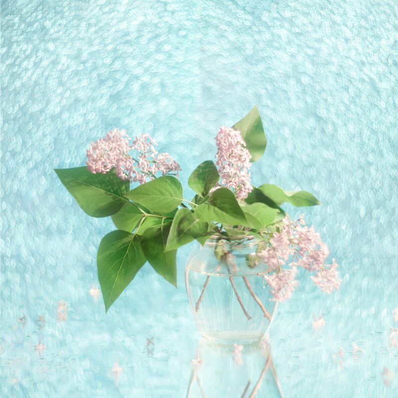 сирень, гелиос, невеста, стекло, весна Нежностьphoto preview