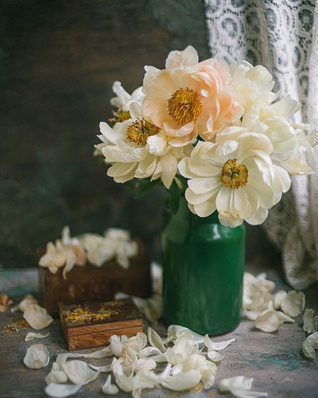 букет, пионы, свет, белый photo preview