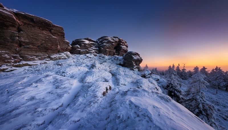 Contrast of Winter Colorsphoto preview