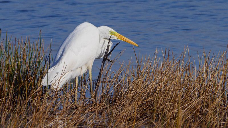 Дай пять!photo preview