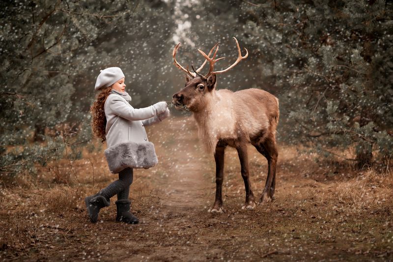 художественные фотографии Сказкаphoto preview
