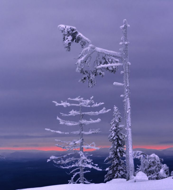 природа, пейзаж, север, кольский, панорама, природа россии, дикая природа, закат, свет, облака, вечер, тундра Суровое заполярьеphoto preview