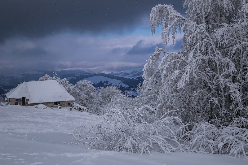Белое безмолвиеphoto preview