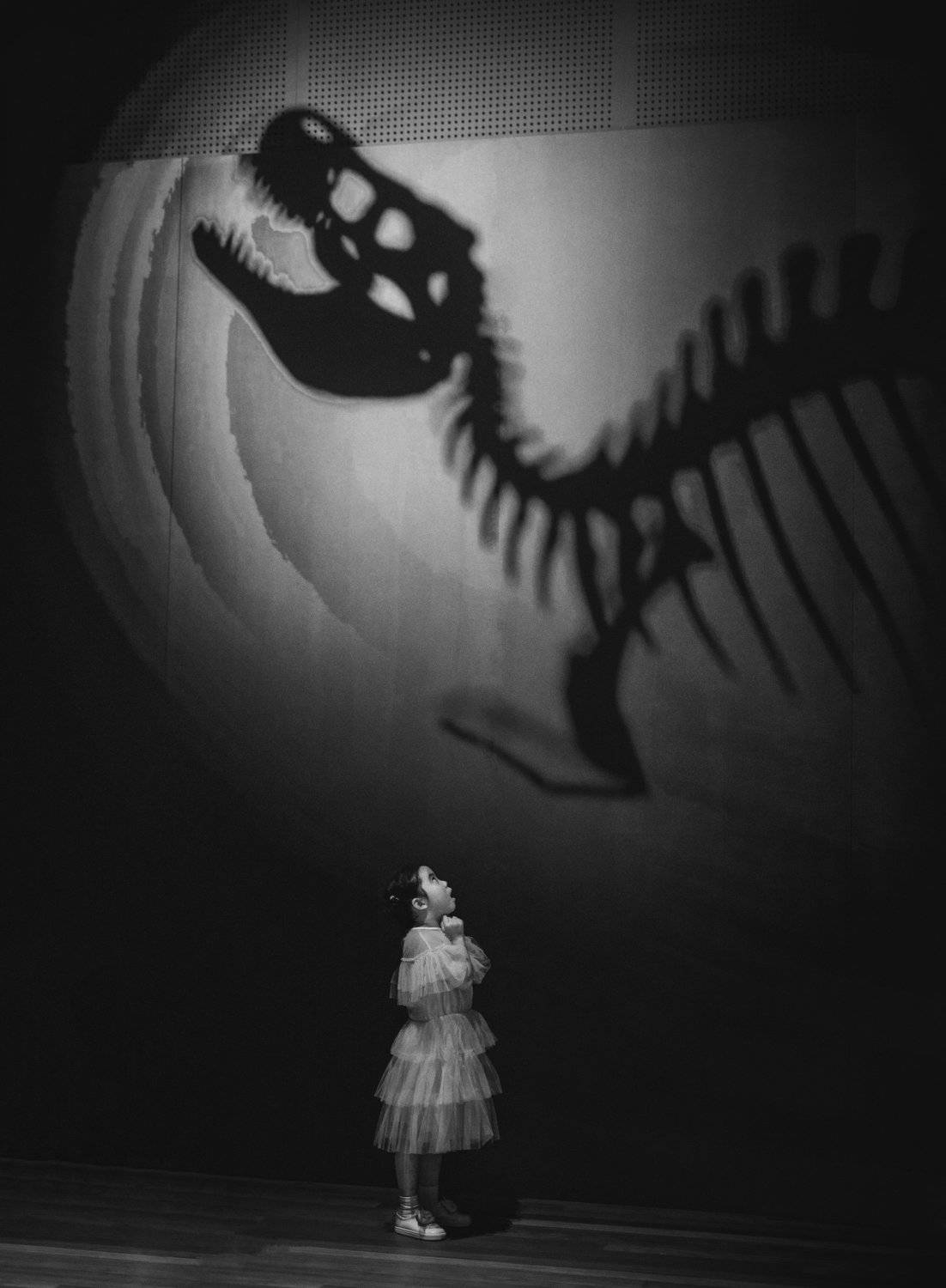 tyrannosaur. Автор: Derek Zhang , Derek Zhang