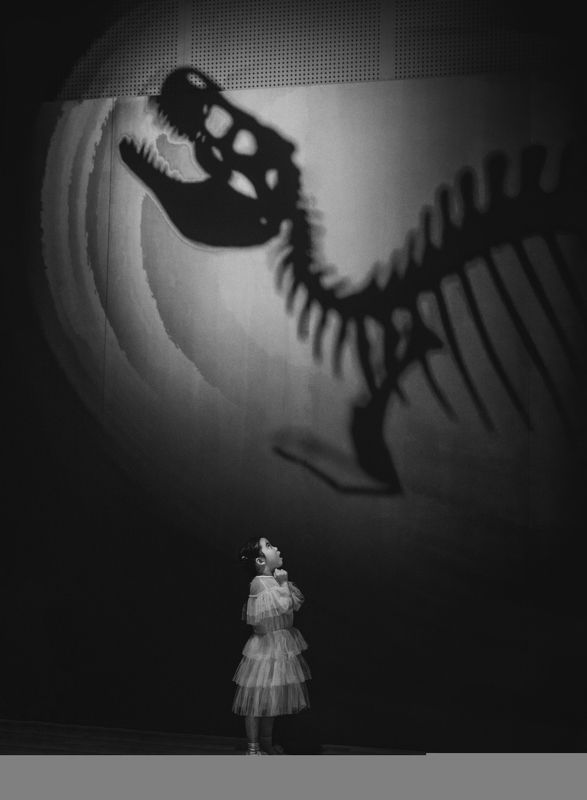 tyrannosaurphoto preview