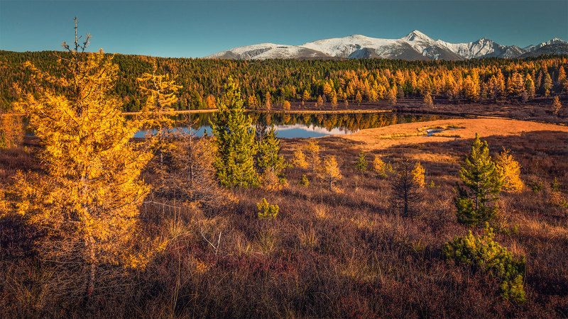Окрестности Улаганского нагорья. Алтайphoto preview