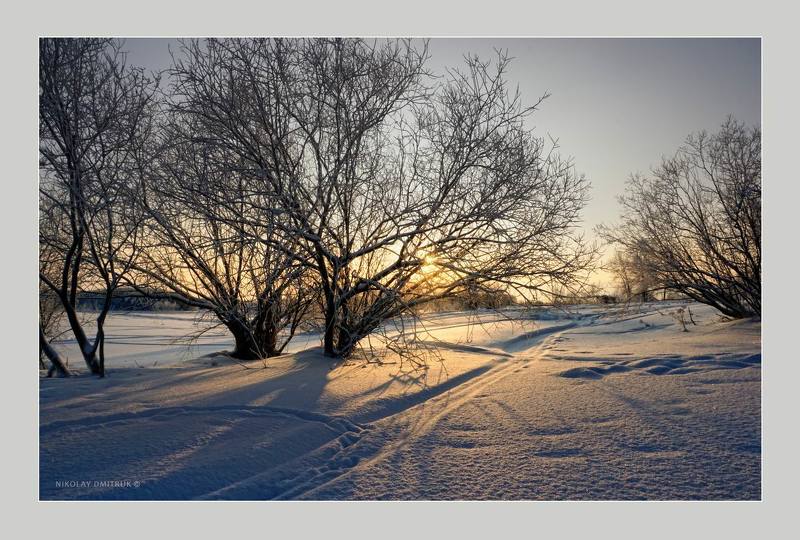 пейзаж зима мороз снег дмитрук музыка Холмогоры. январьphoto preview