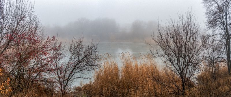 В туманное Рождествоphoto preview