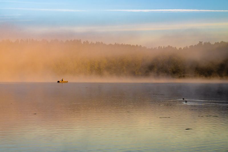 Poranna mgłaphoto preview