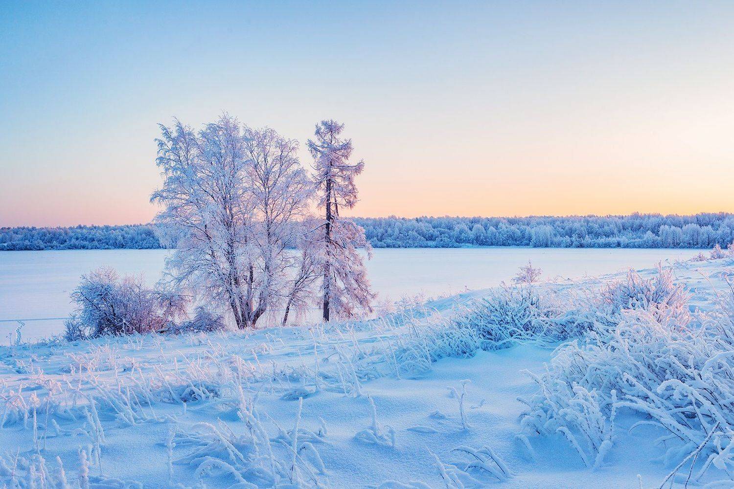 кенозеро, мороз, утро, зима, Владимир Липецких