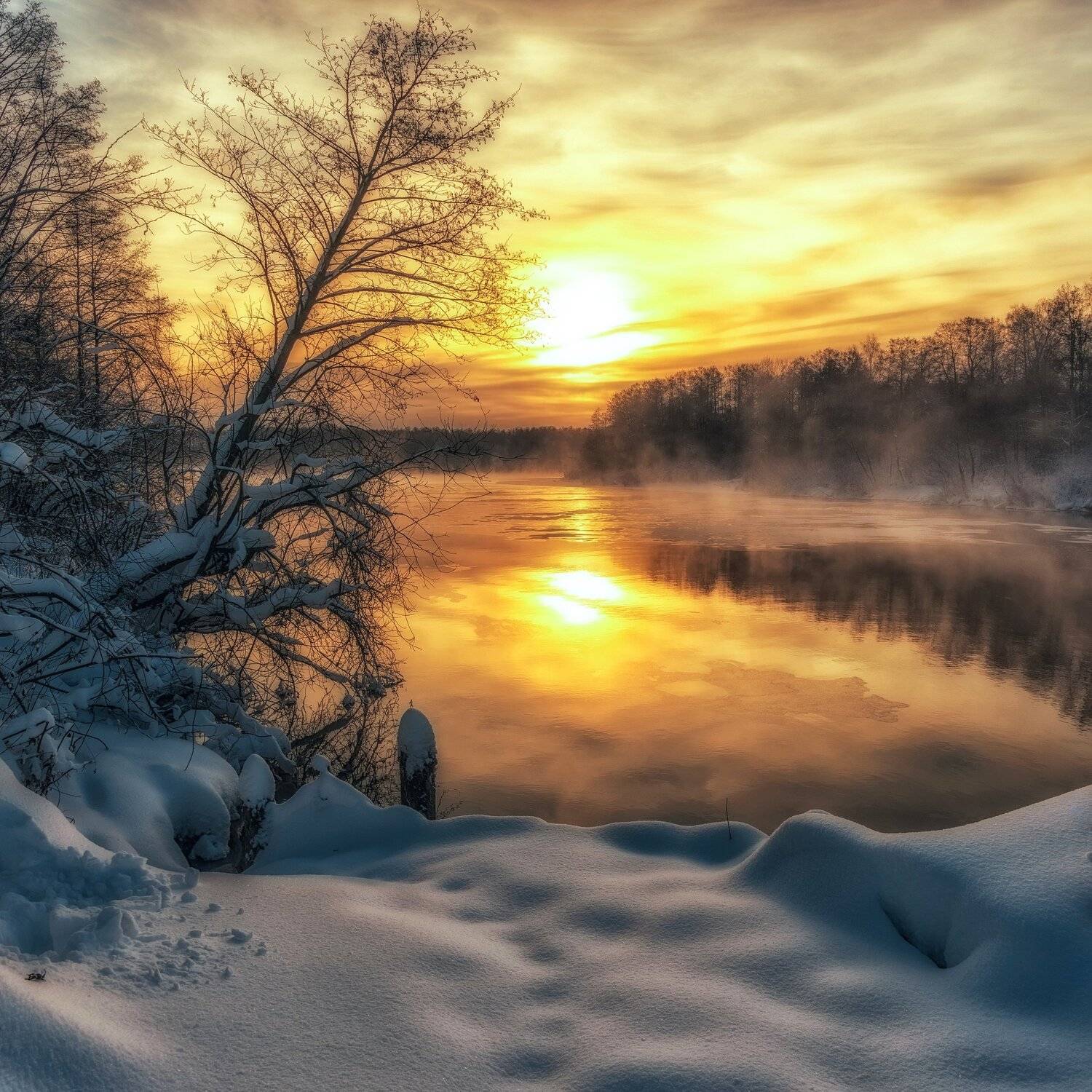 Морозное утро. Автор: Владимир Брагилевский , Владимир Брагилевский