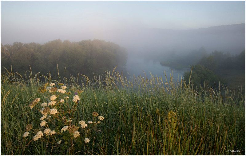 утро,думан,река,первые,лучи,загорается,новый,день Загорается новый деньphoto preview