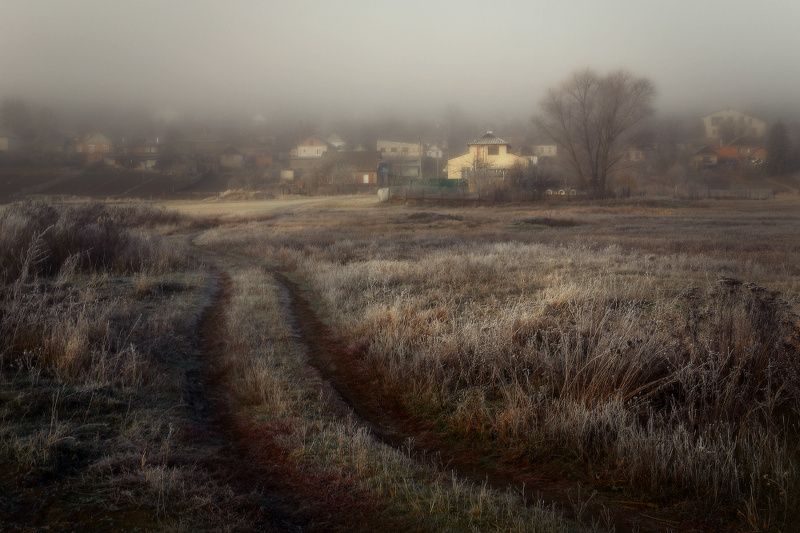 туман, утро, мороз, иней ***photo preview