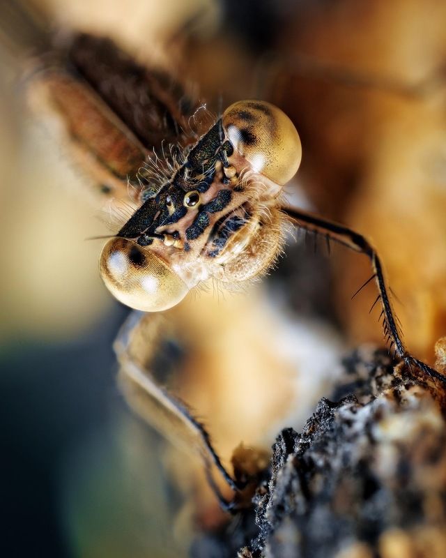 You talking me?photo preview