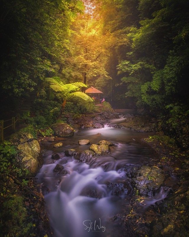 Hidden Jewel in Baliphoto preview