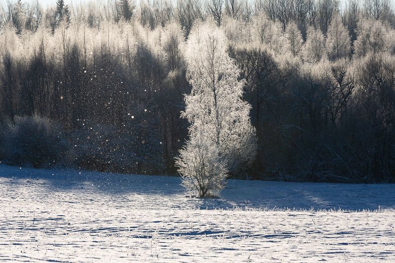 Without darkness light does not matterphoto preview