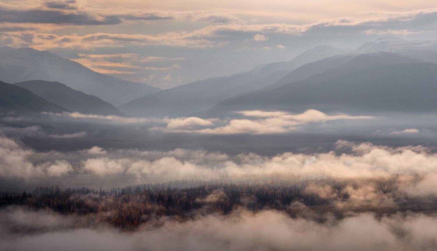 , Андрей Хаймин