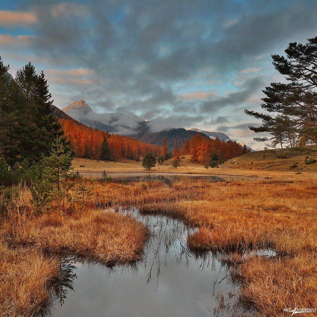 Осень. Автор: Матвеев Николай swiss, Матвеев Николай