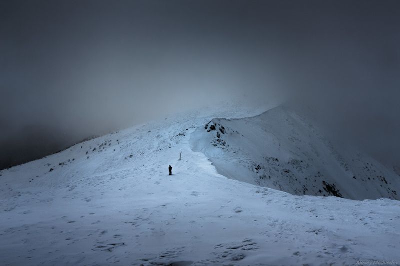 карпати, чорногора, говерла На склонах Говерлыphoto preview