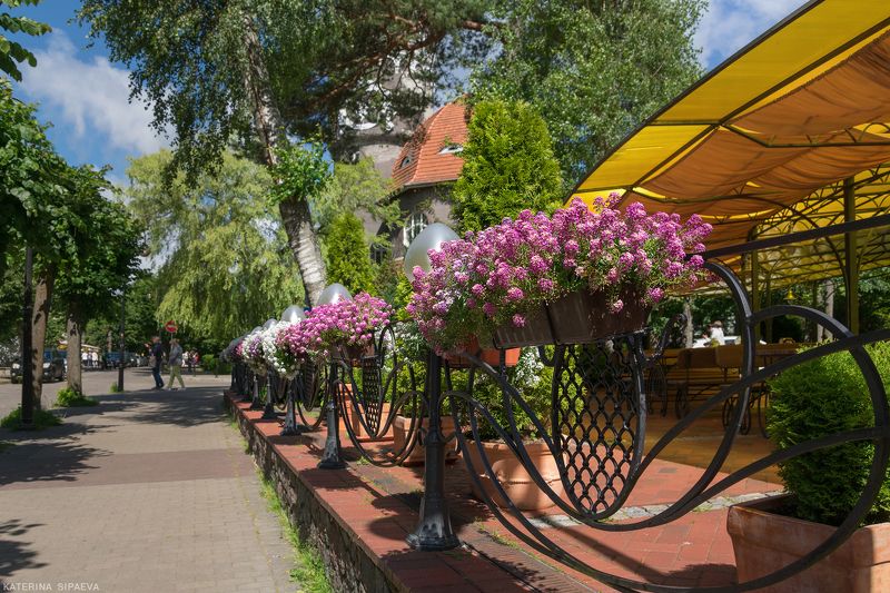 город, лето, городской пезаж, светлогорск Летний Светлогорскphoto preview
