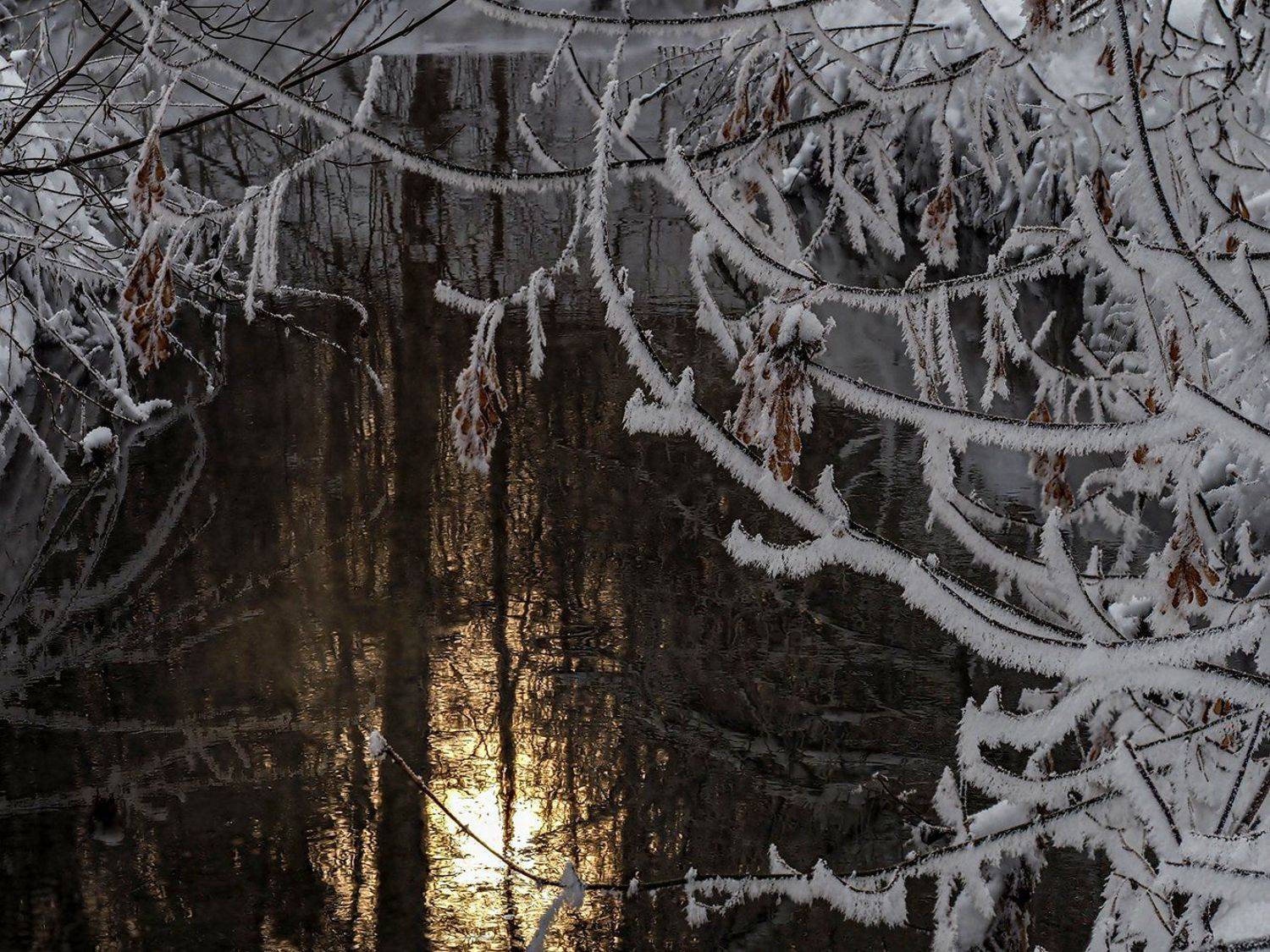 Автор: Сергей Духанин река, солнце, зима, иней, пар, Сергей Духанин