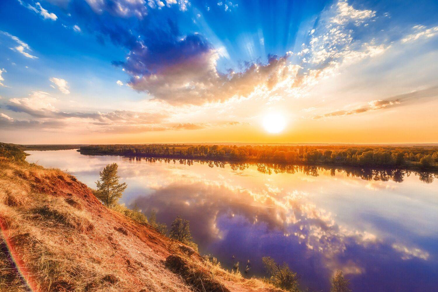 , Алексей Никитин