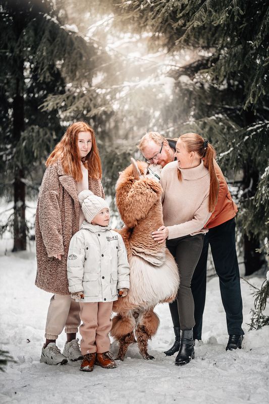 Портфолиоphoto preview