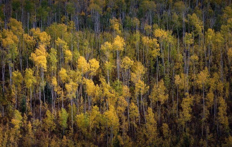 Осень в Колорадоphoto preview