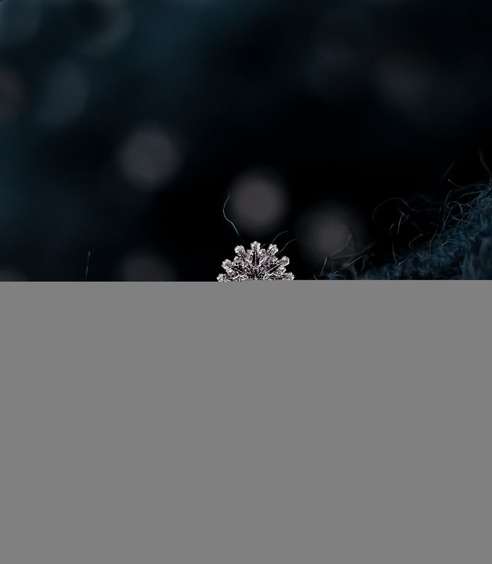 макро, природа, nature, macro, снег, зима, snowflake Редкая снежинка с 12-ю лучиками ❄️photo preview