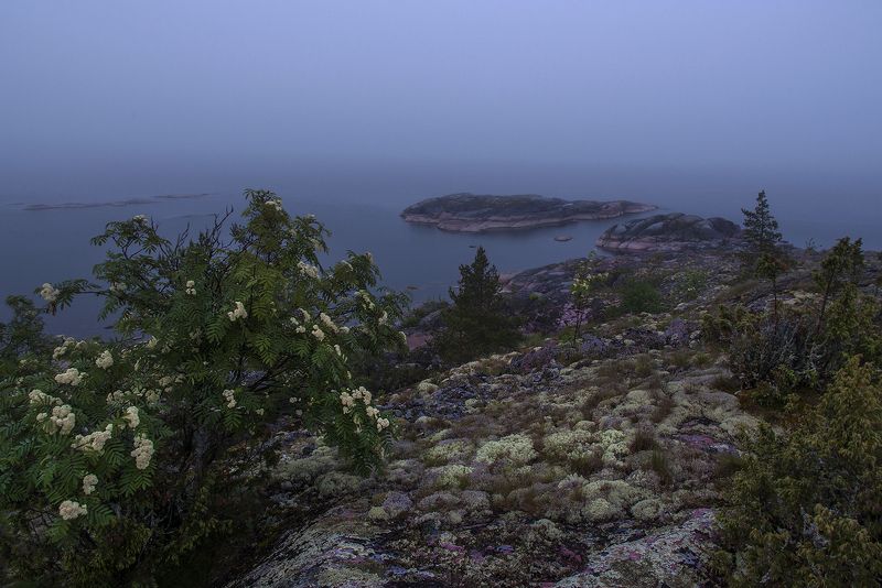 карелия Сюскюянсаариphoto preview