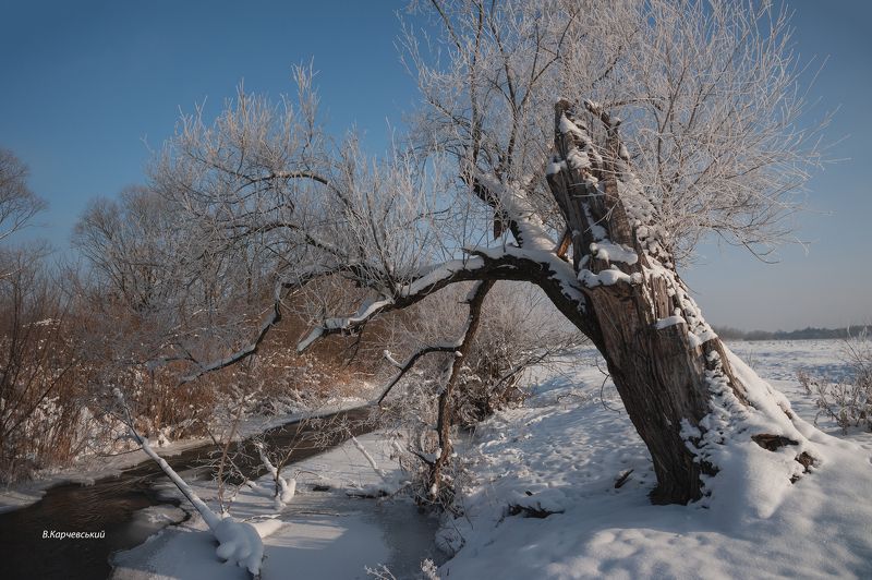 мороз и солнце...photo preview