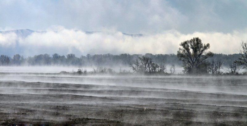 Парыphoto preview