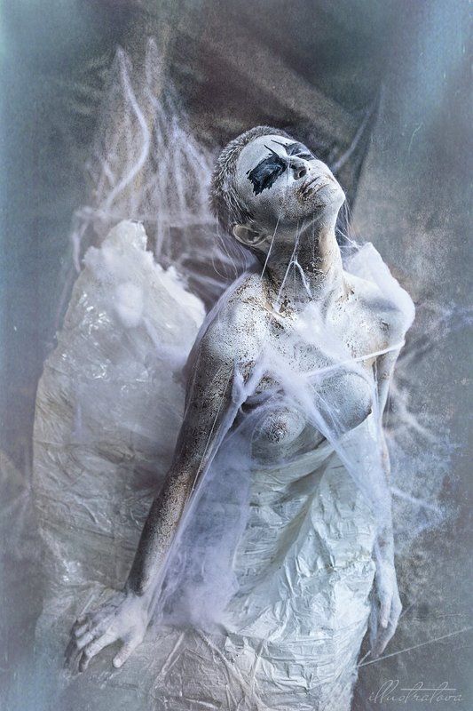 Коконphoto preview