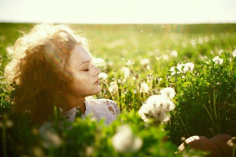 Sunshinephoto preview