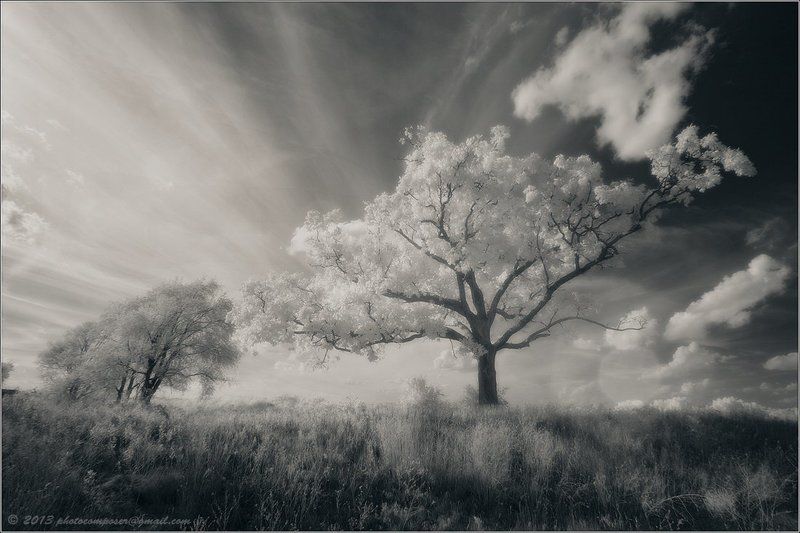 Quiet...photo preview