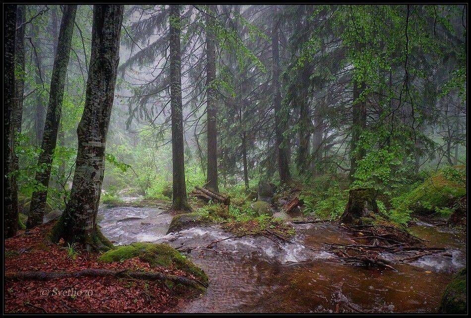 Автор: Svetoslav , Svetoslav