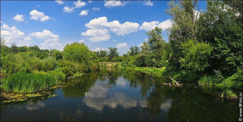 Истоки реки Воронежphoto preview