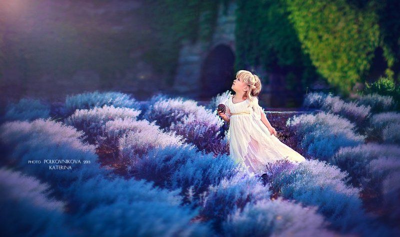 Сказкаphoto preview