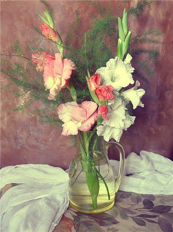 Гладиолосыphoto preview